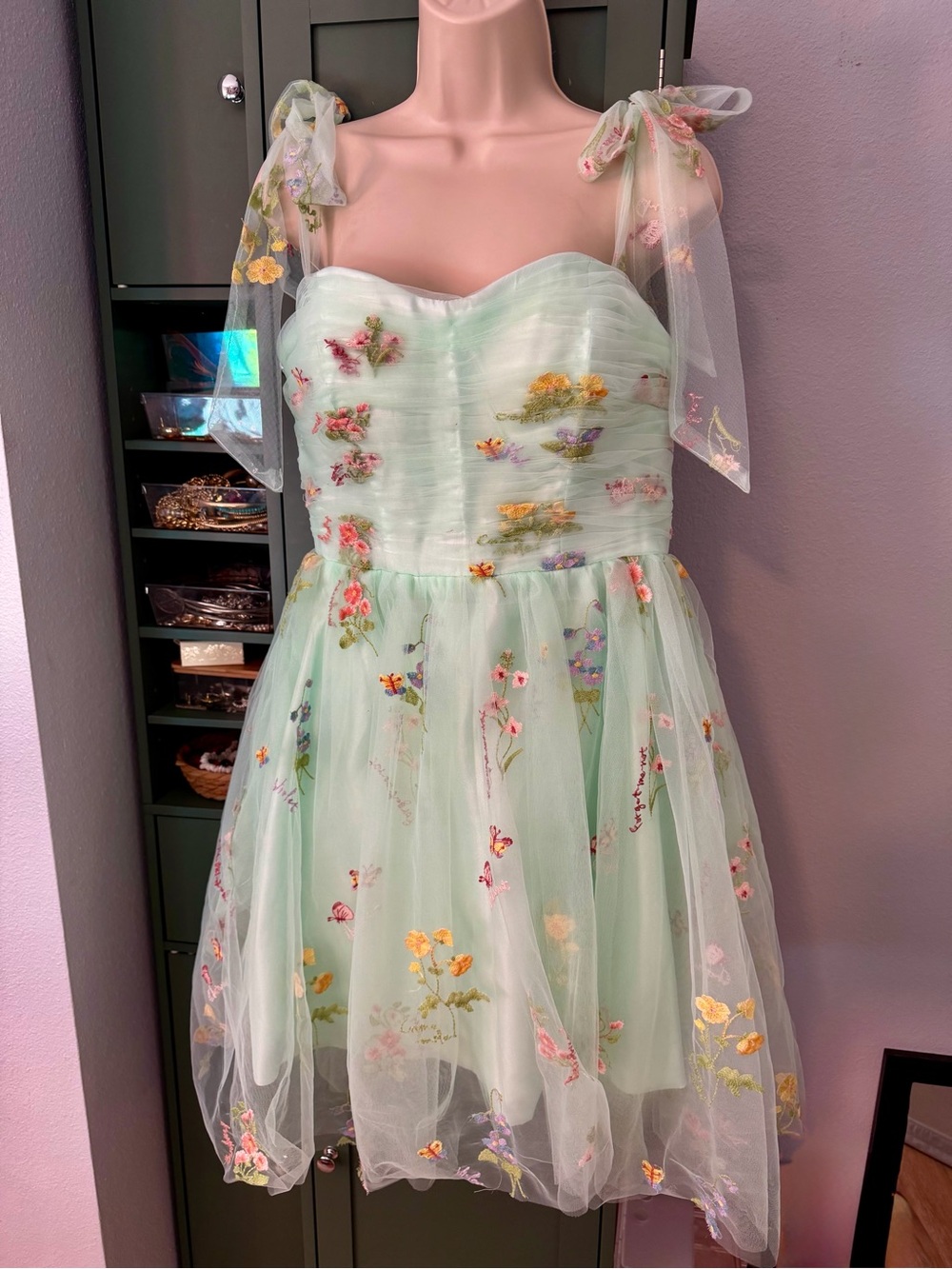 Mint Green Floral Embroidered Tulle Corset Mini Dress Tie Straps Size 6